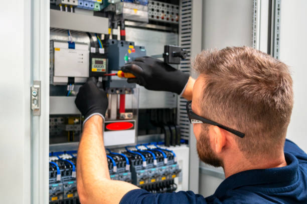 Best Electrical Upgrades for Homes  in Stevensville, MI
