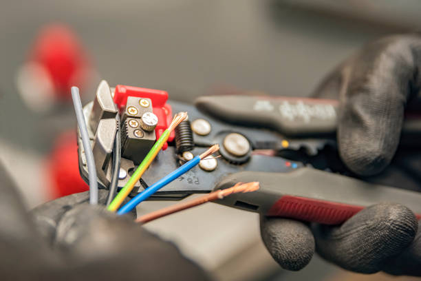Best Electrical System Inspection  in Stevensville, MI