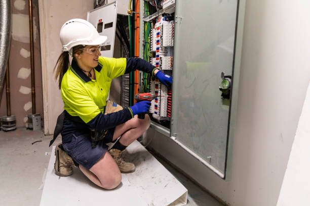 Best Residential Electrician Services  in Stevensville, MI
