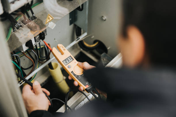 Best Licensed Electrician  in Stevensville, MI