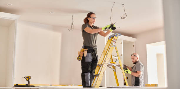 Best Electrician for Home Renovation  in Stevensville, MI