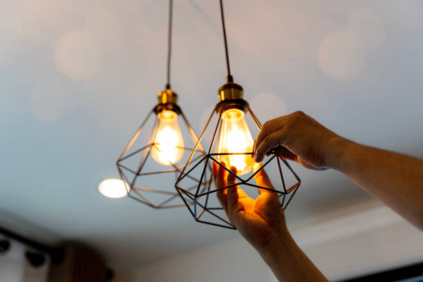 Best Home Electrical Repair  in Stevensville, MI