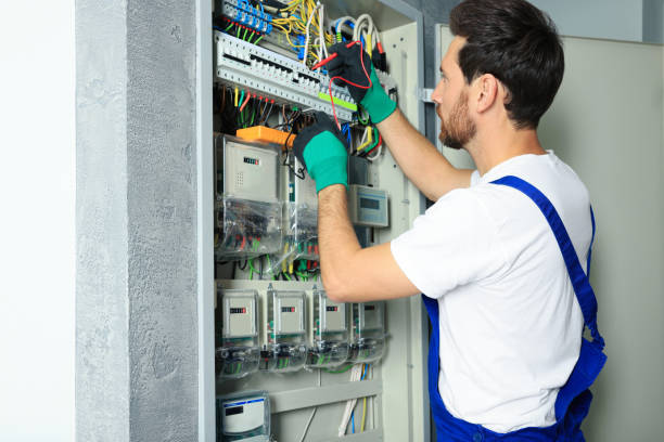 Best Electrical Repair Services  in Stevensville, MI